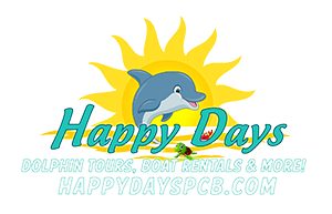 Happy Days Adventures PCB Logo